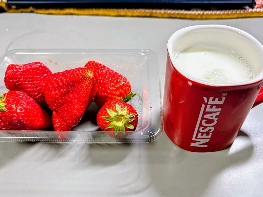 IMG_1212-Copy-Copy-1 今年の冬の寒さは異常でした