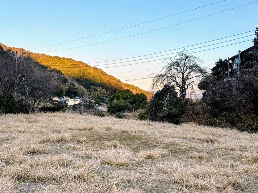 IMG_1249-Copy 薪割り完了