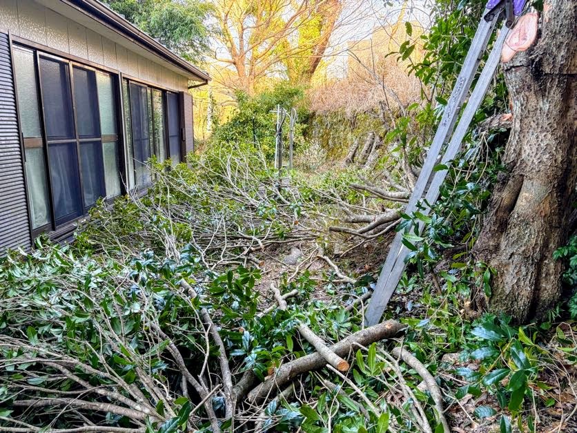 木こり２ 金木犀の枝を伐採