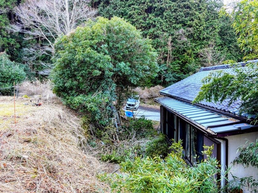 木こり４ 金木犀の枝を伐採