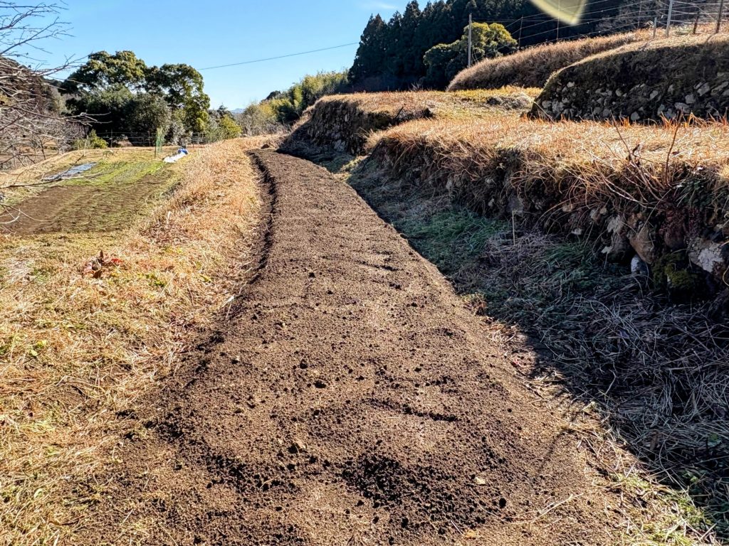 畑２-1024x768 金木犀の枝を伐採