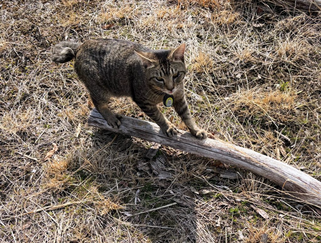 IMG_1465-1024x776 本日、修善寺ベースに戻りました