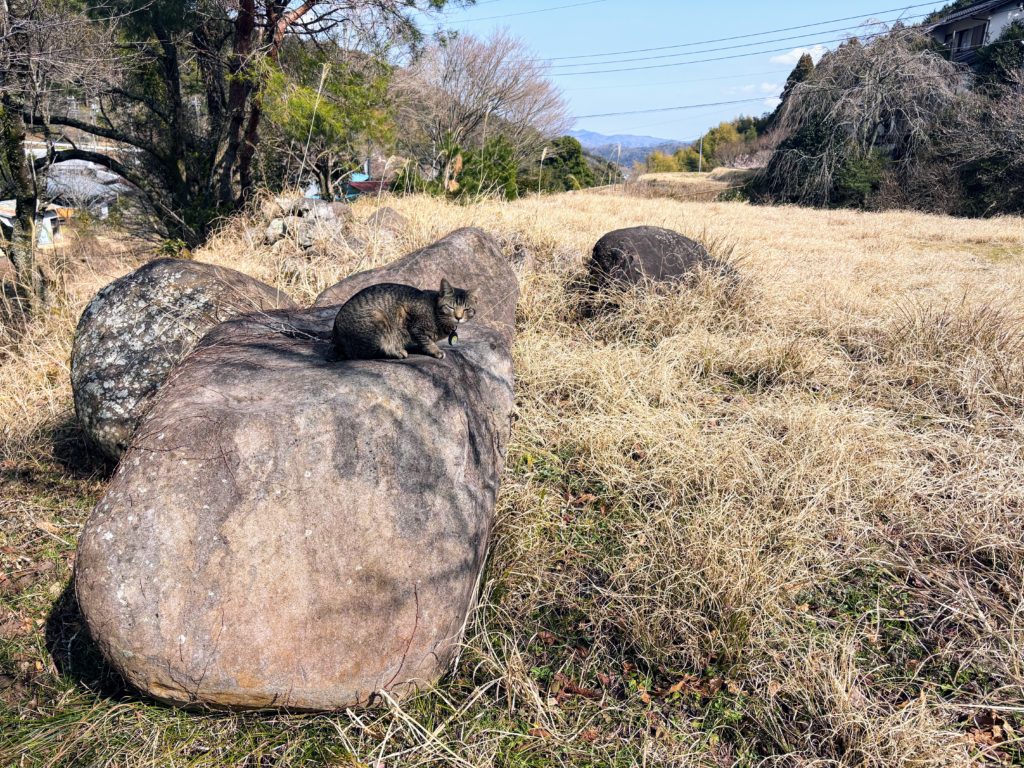IMG_1467-1024x768 本日、修善寺ベースに戻りました