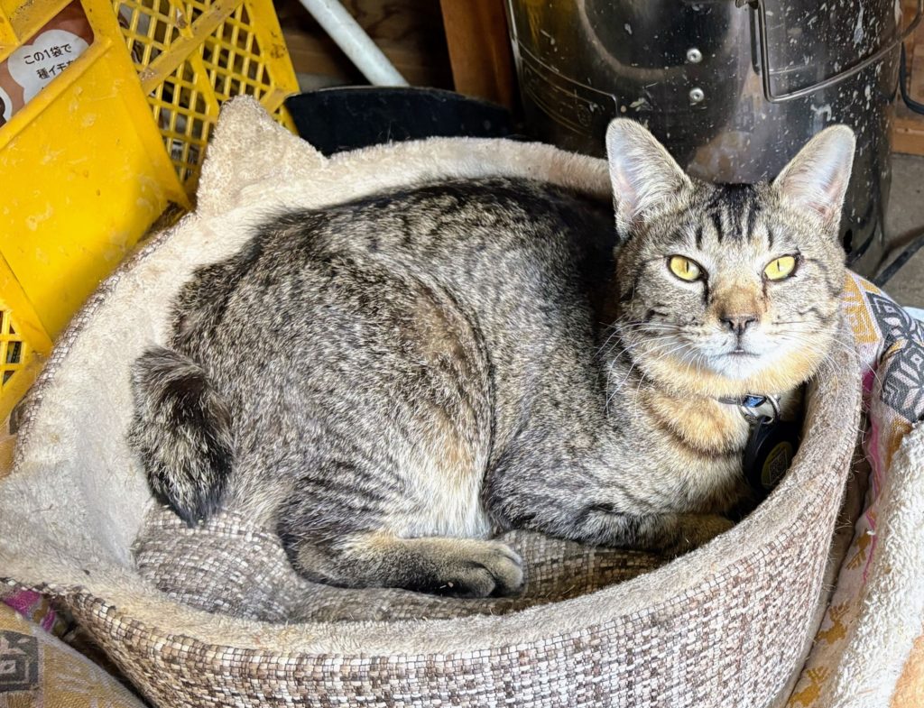 IMG_1470-Copy-1024x785 本日、修善寺ベースに戻りました