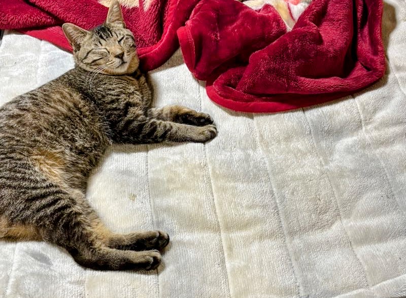 IMG_1520-Copy-EDIT-1 この日を忘れてはならない