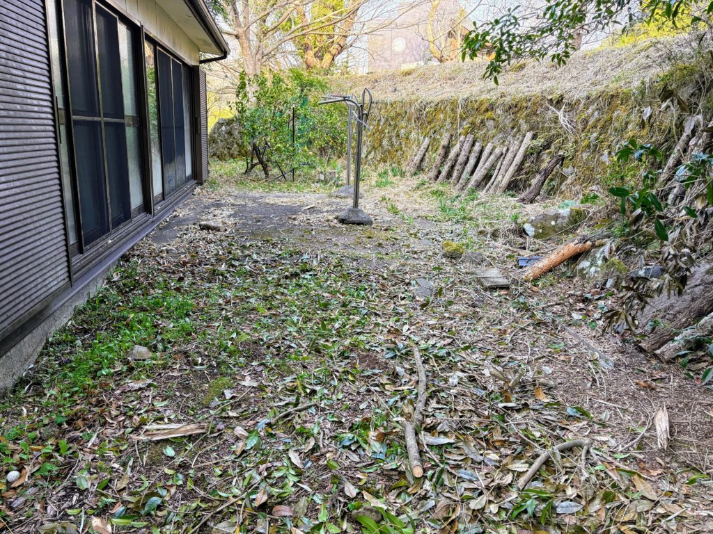 裏庭-1-1024x768 稲苗の生育状況