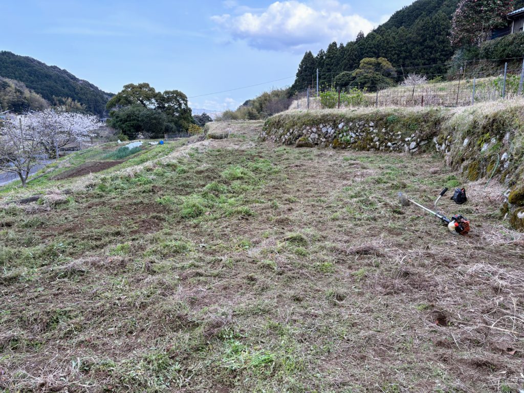 IMG_2200-1024x768 散ればこそ いとど桜はめでたけれ うき世になにか久しかるべき