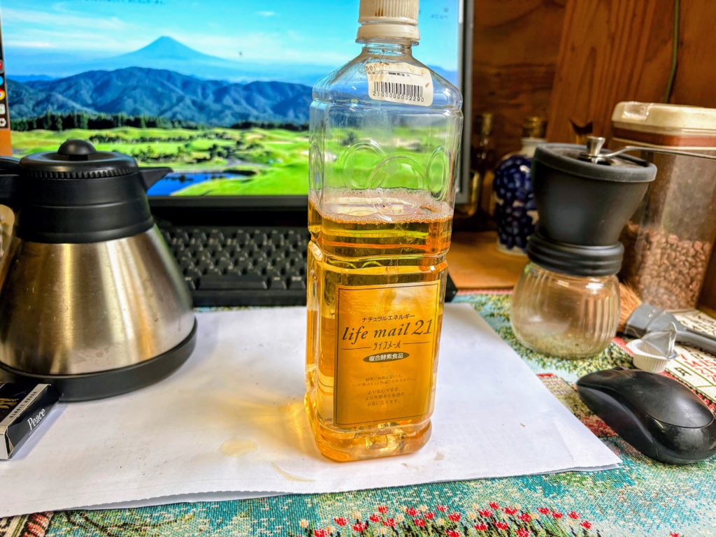 IMG_2223-EDIT-1024x768 春雨に、「散る桜、残る桜も散る桜（良寛）」