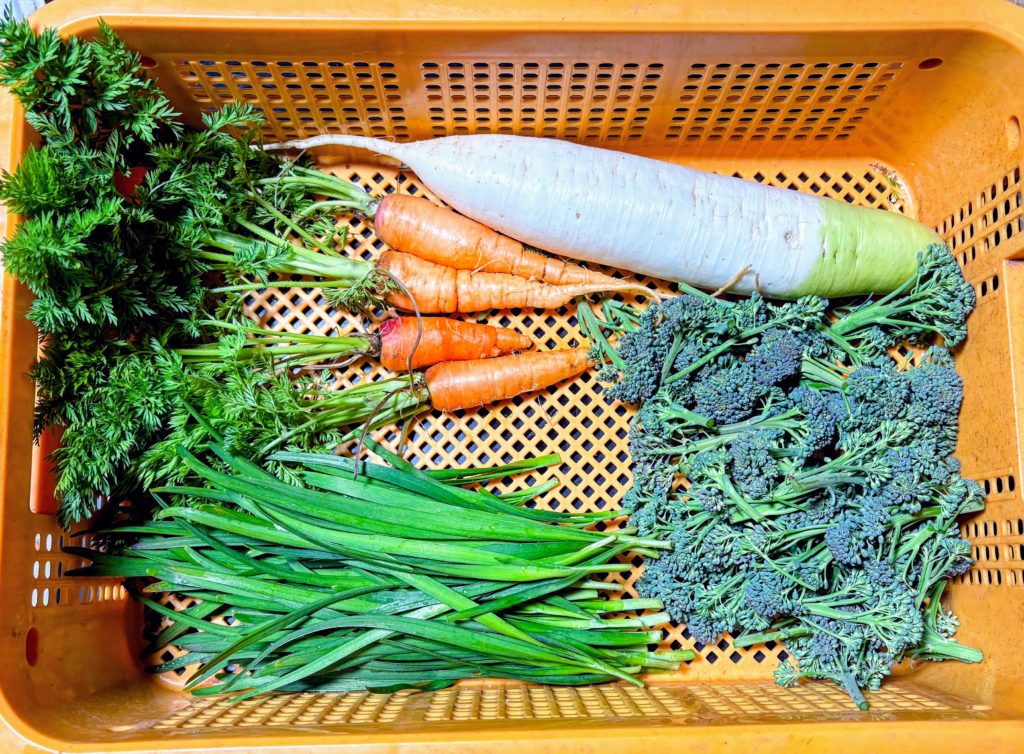 IMG_2305-EDIT-1024x754 今日は１日中、野良仕事