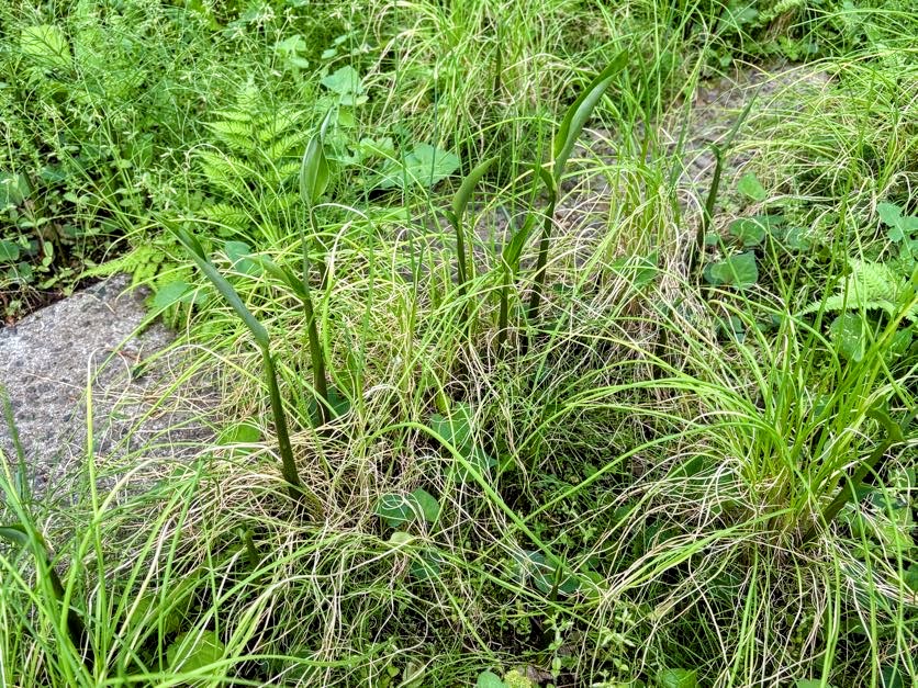 IMG_2455-EDIT 本日、修善寺ベースに戻る