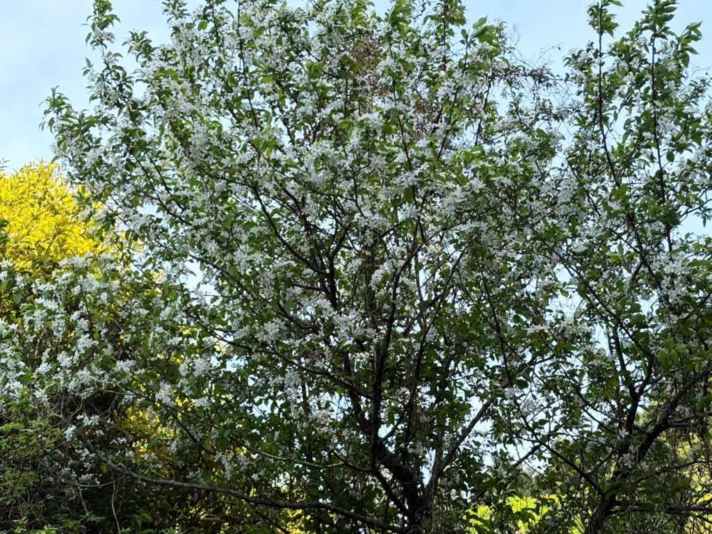 IMG_2474-1024x768 本日、修善寺ベースに戻る