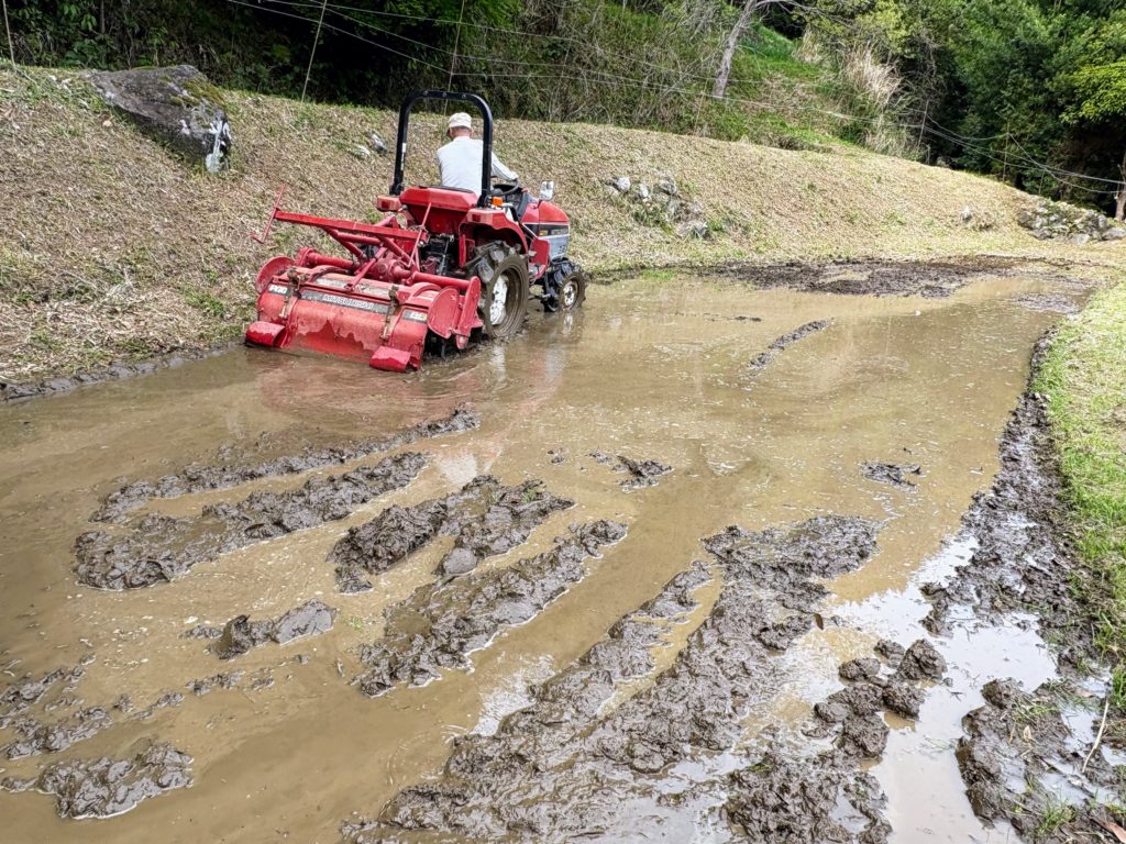 IMG_2496-1024x768 本日、修善寺ベースに戻る