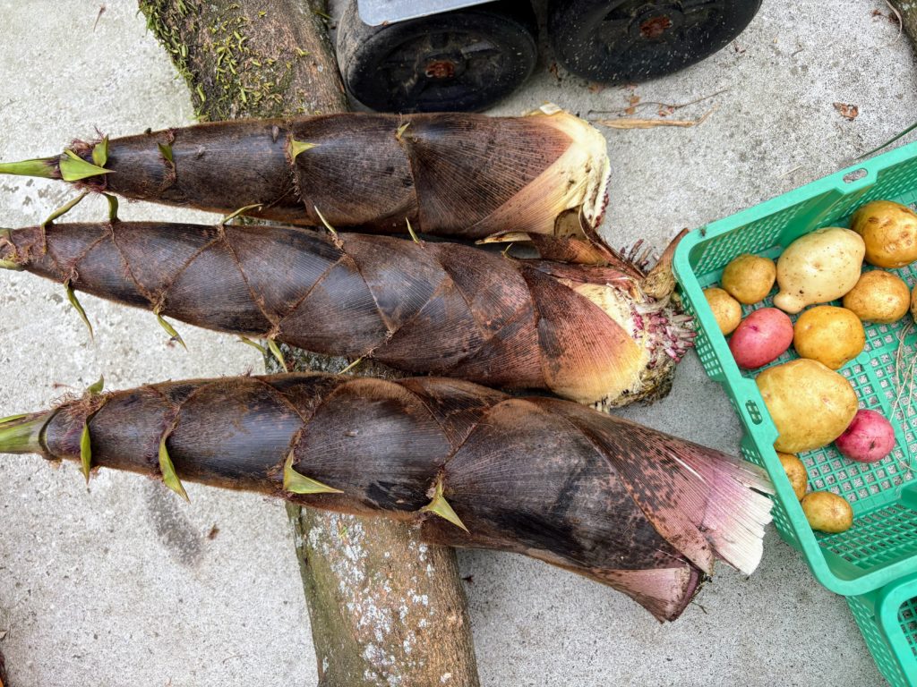 IMG_2507-1024x768 本日、修善寺ベースに戻る