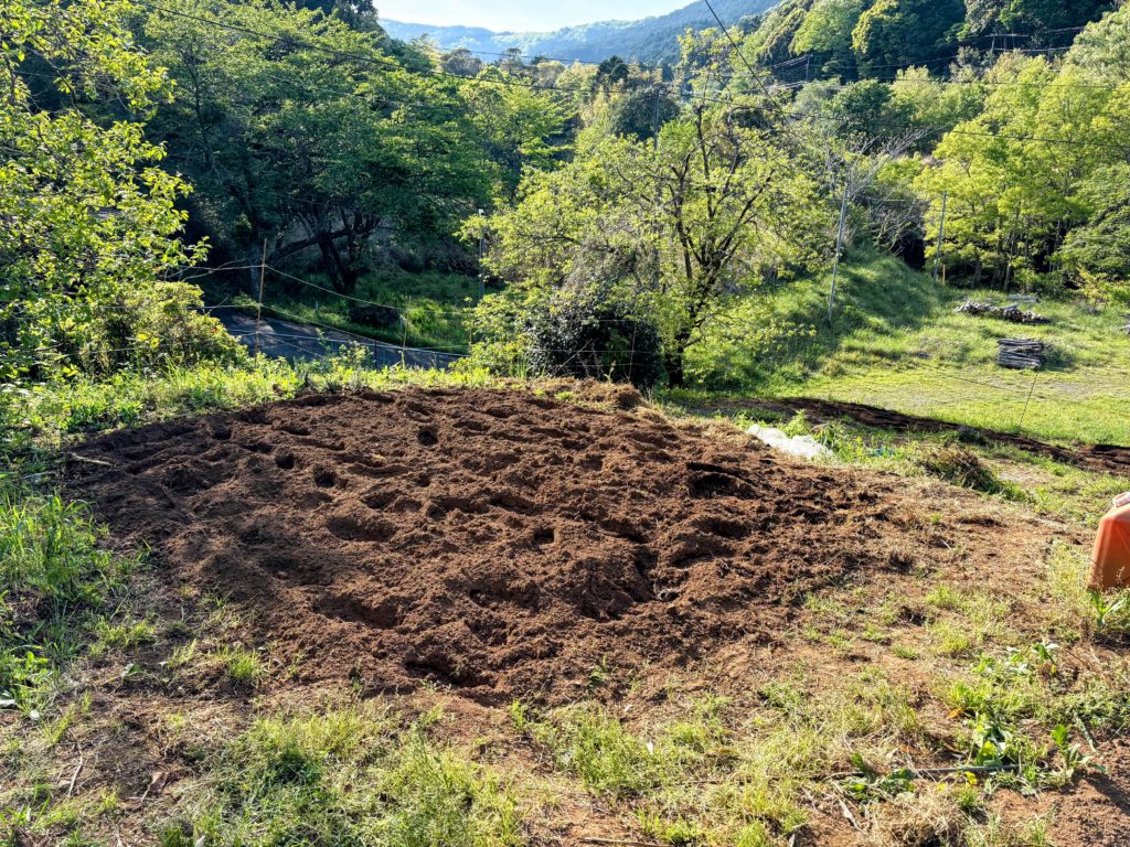 IMG_2589-EDIT-1024x768 初夏の日差し