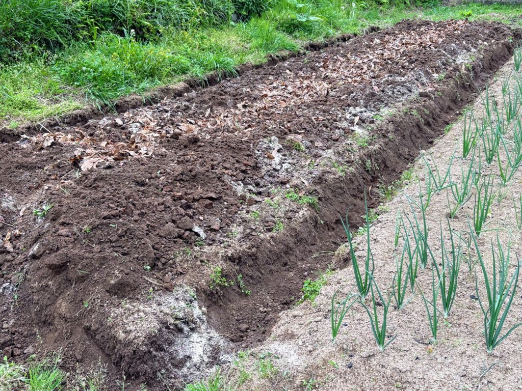 IMG_2608-1024x768 春雨じゃ濡れていこう