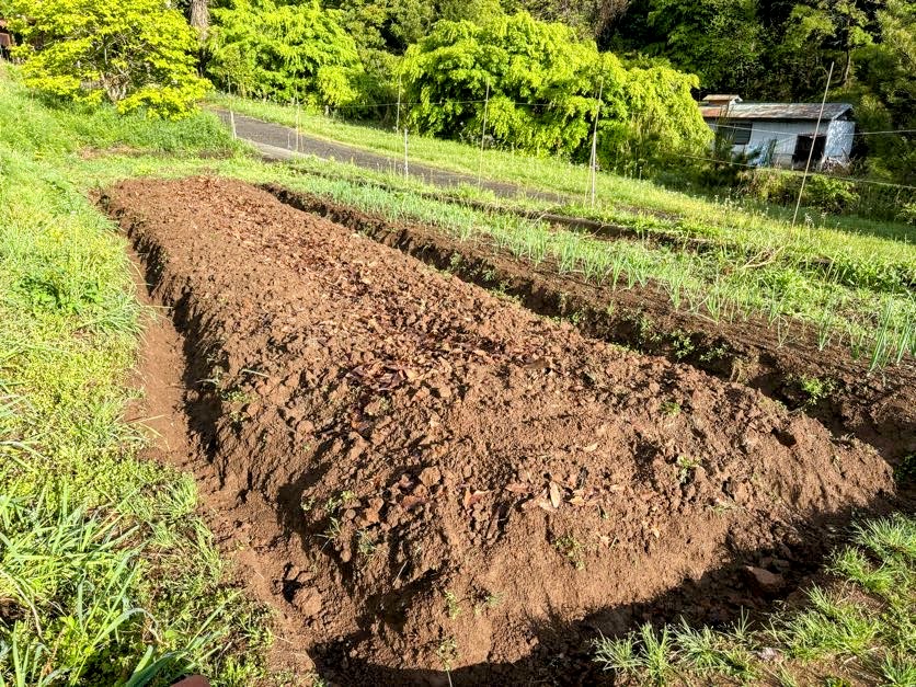 IMG_2613-EDIT 昭和の思い出話し