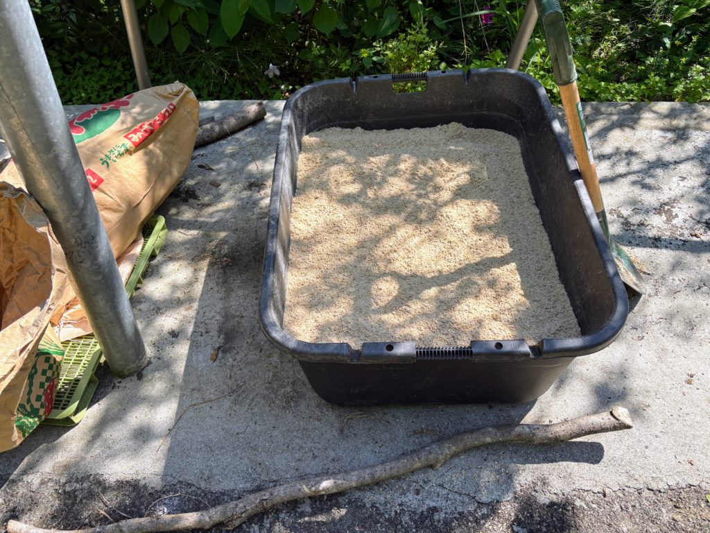 IMG_2619-1024x768 春キャベツを頂いた。