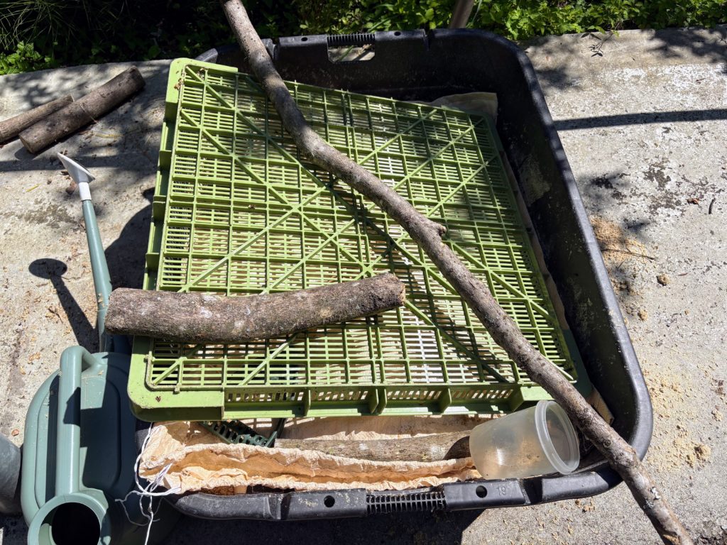 IMG_2621-1024x768 春キャベツを頂いた。