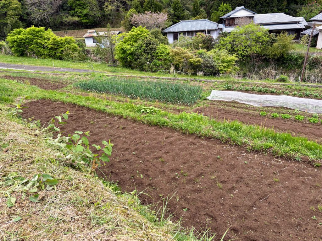 tanada-1024x768 田植え完了