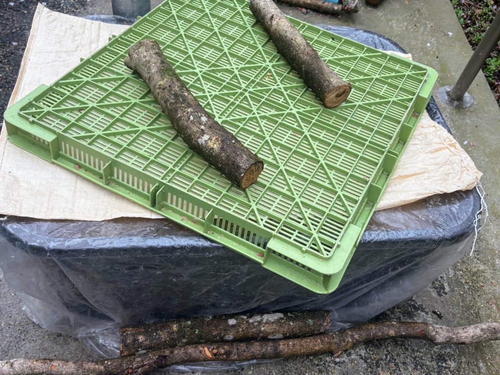 ボカシ-1024x768 春雨に、「散る桜、残る桜も散る桜（良寛）」