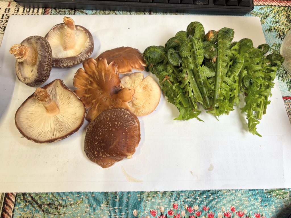 収穫-1024x768 春雨に、「散る桜、残る桜も散る桜（良寛）」