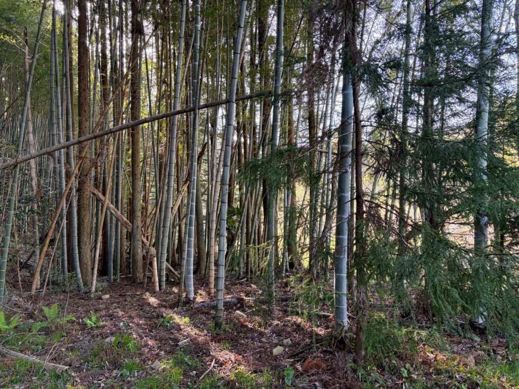 林-1024x768 ロリー・マキロイがマスターズ初制覇