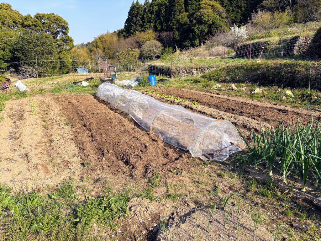 耕作２-1024x768 今日は１日中、野良仕事