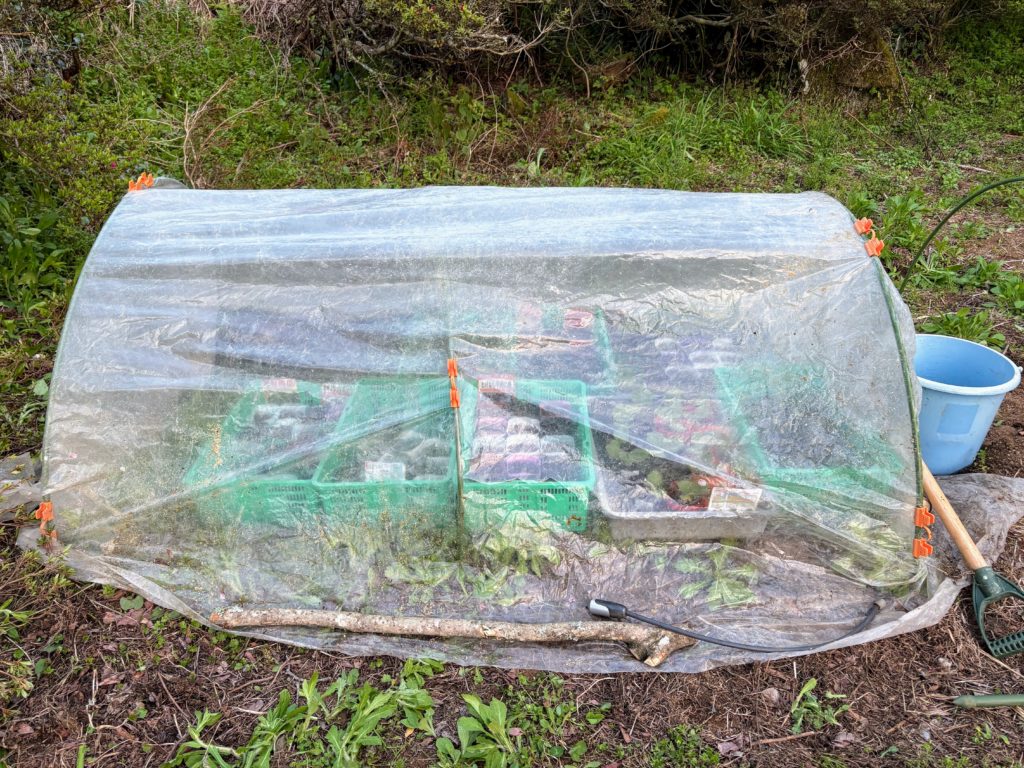 苗-1024x768 ロリー・マキロイがマスターズ初制覇