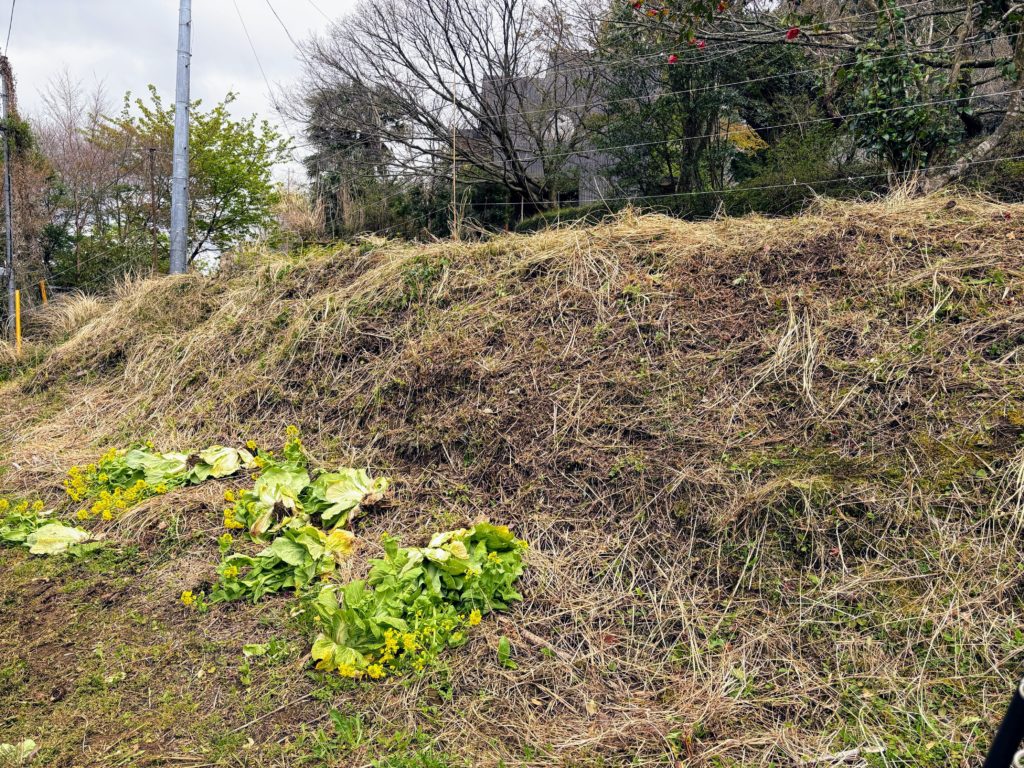 草刈り２-1024x768 春雨に、「散る桜、残る桜も散る桜（良寛）」