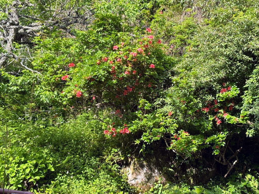 IMG_2745-1024x768 光回線の切替