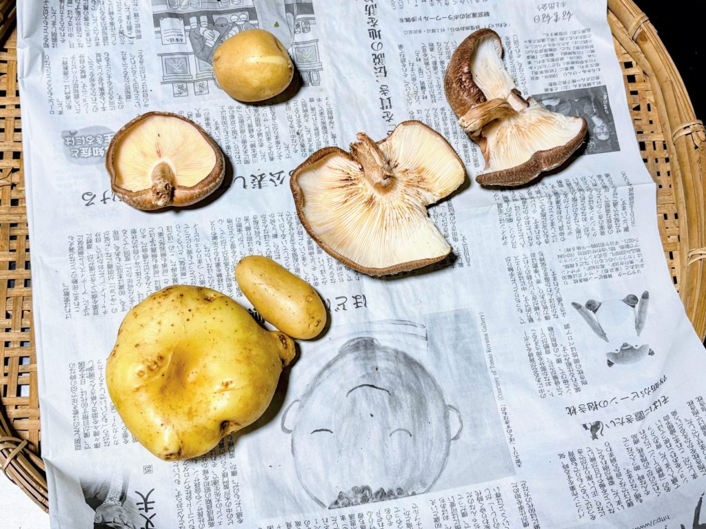 IMG_2764-EDIT-1024x768 棚田上段のジャガイモの追肥＆土寄せ