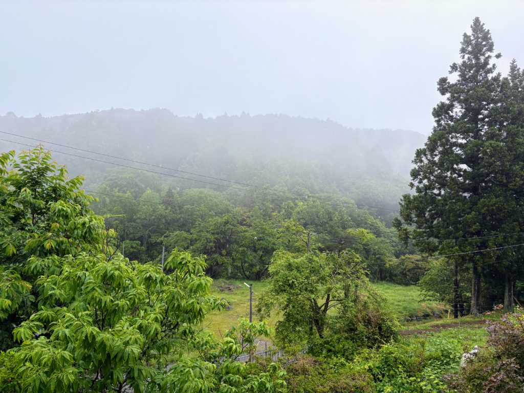 IMG_2774-1-1-1024x768 今日は朝から☔️でしたので、完全休養日
