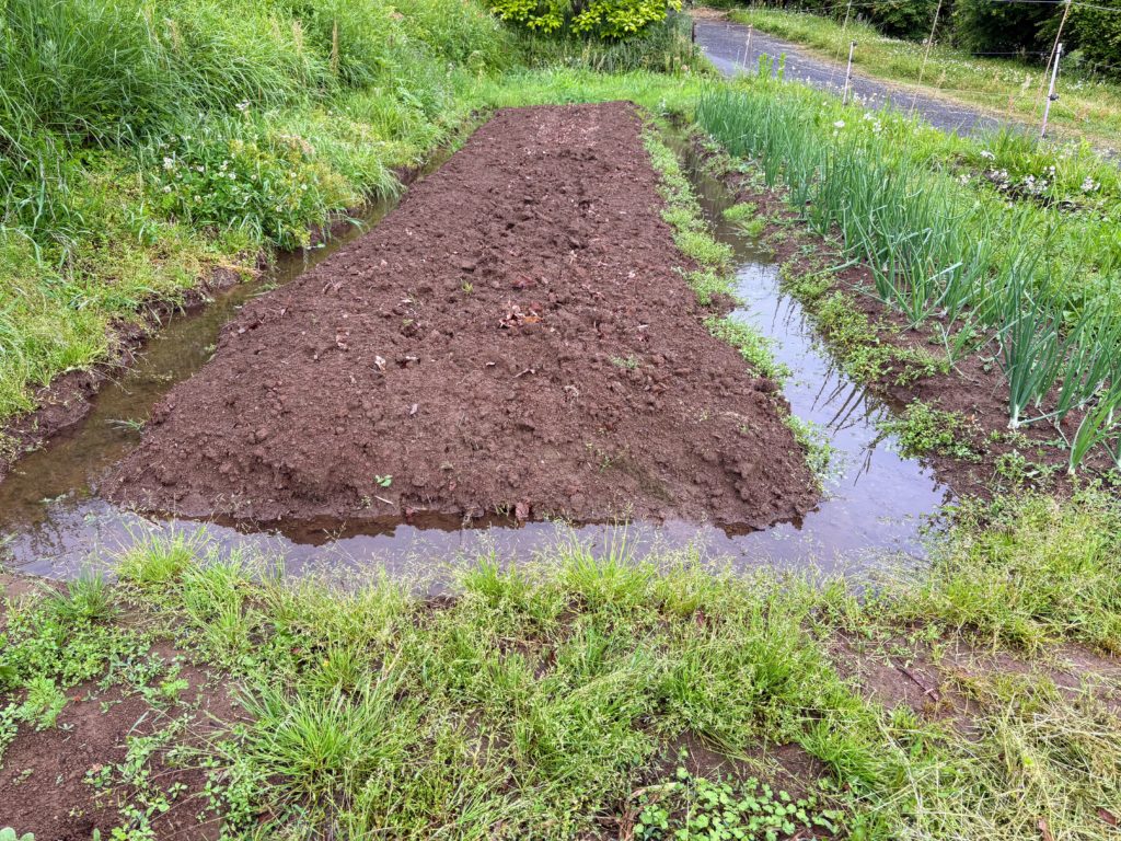 IMG_2795-1024x768 今日は朝から☔️でしたので、完全休養日