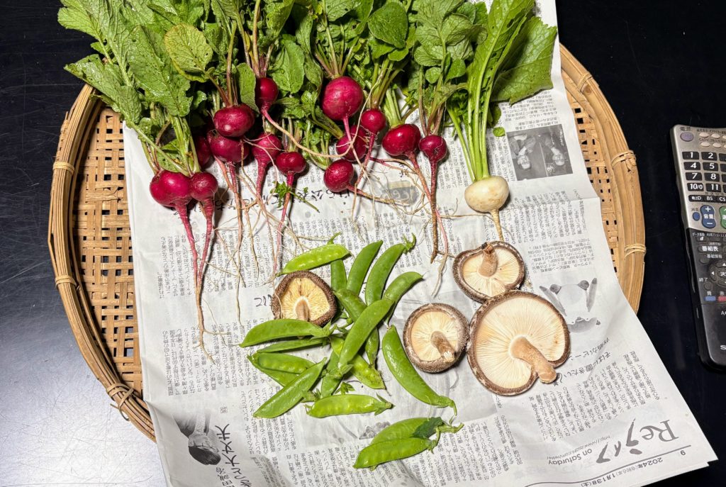 IMG_2797-1024x687 今日は朝から☔️でしたので、完全休養日