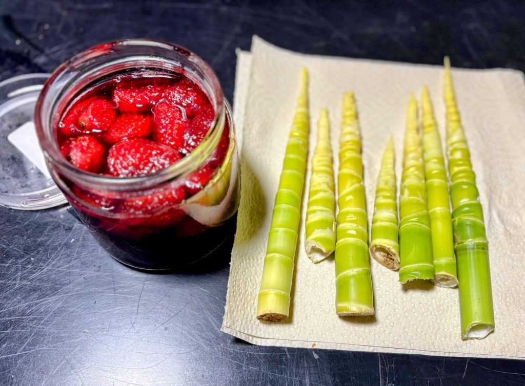 IMG_2849-EDIT-1024x754 夏は来ぬ