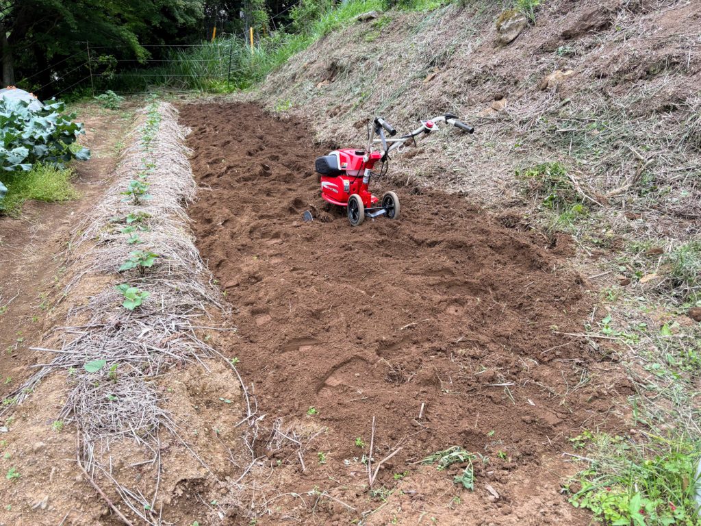 IMG_2904-1024x768 血の巡りを良くしよう