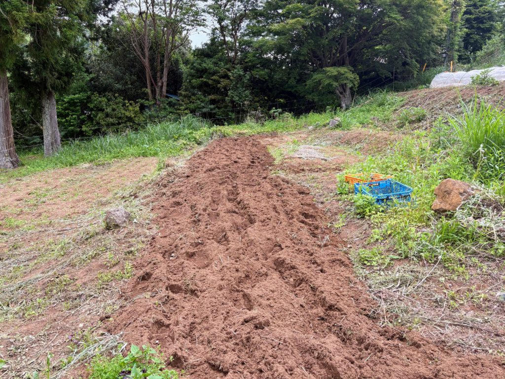 IMG_2905-1024x768 血の巡りを良くしよう