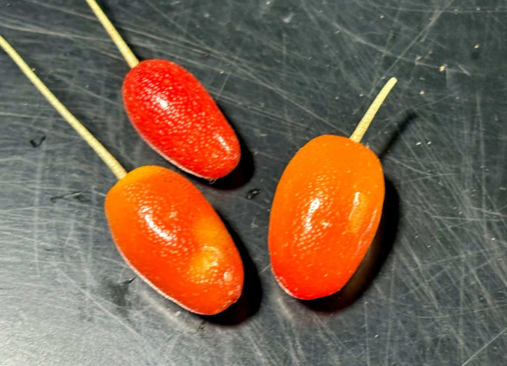 IMG_2930-EDIT-1024x740 現代人には、真にメンタルの強い人はいません。