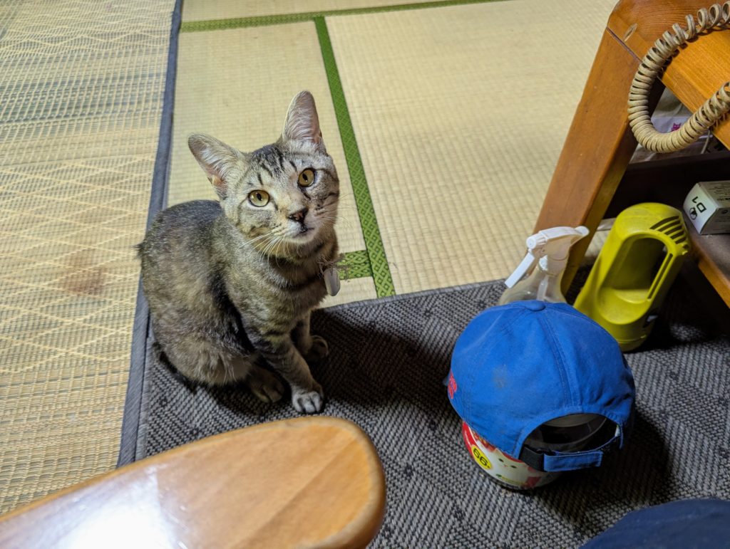 PXL_20250508_030045693.MP_-1024x771 光回線の切替