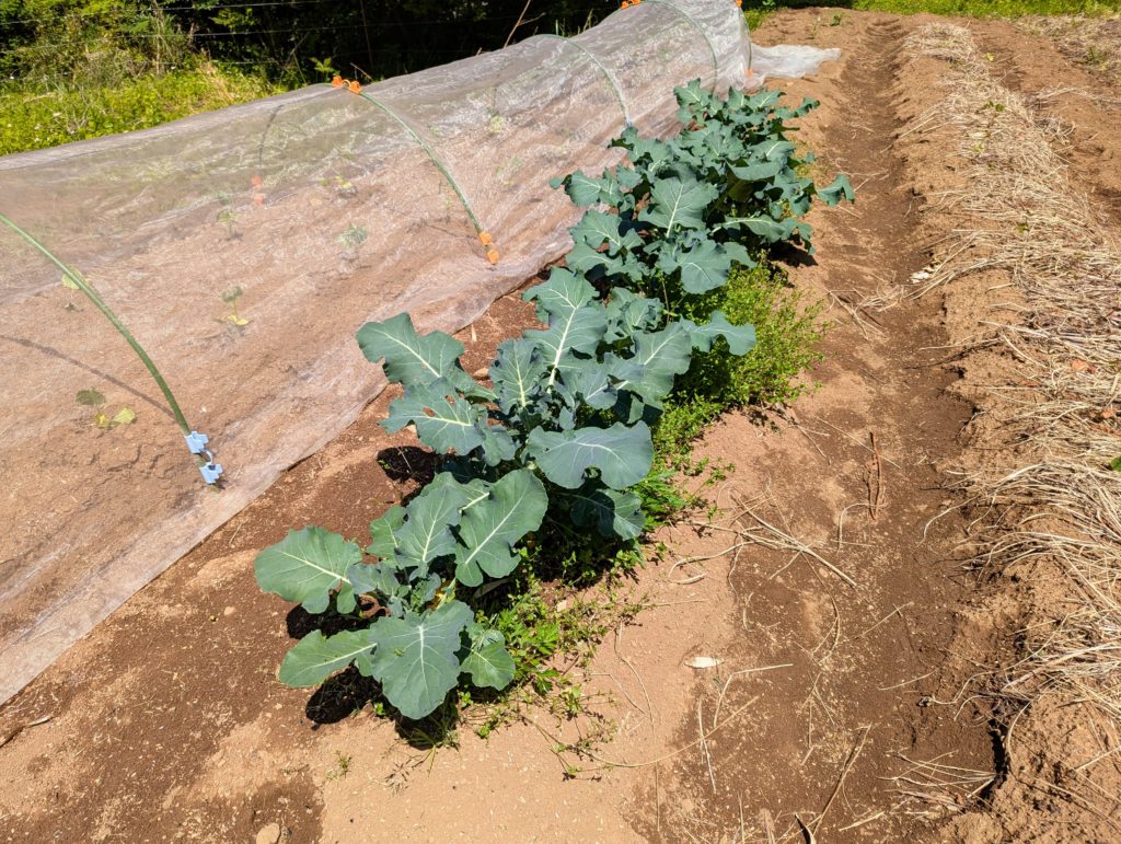 PXL_20250508_035433450.MP-1-1024x771 光回線の切替