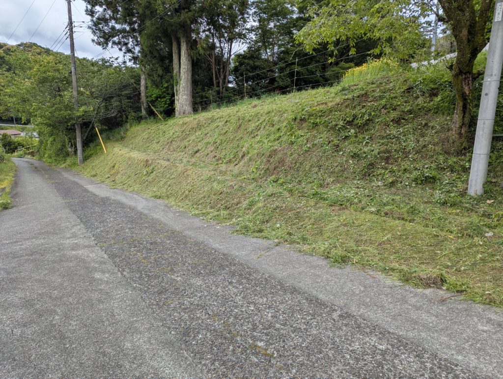 PXL_20250512_064215324.MP_-1024x771 昨日の草刈りの続き