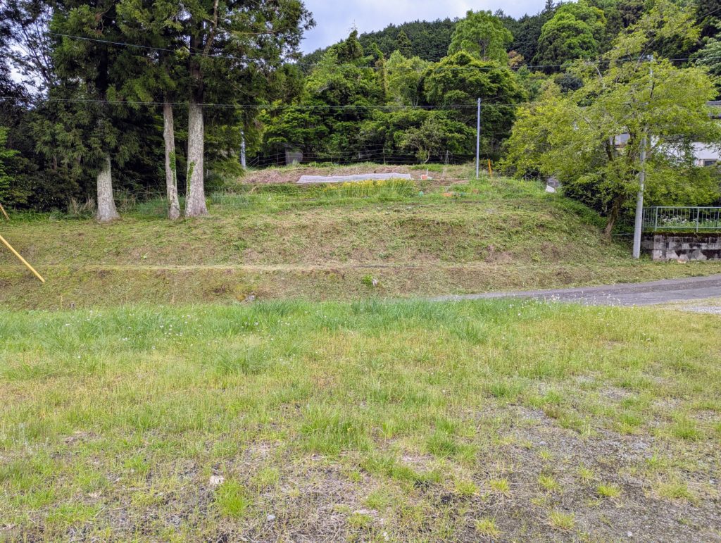 PXL_20250512_064417690.MP_-1024x771 昨日の草刈りの続き