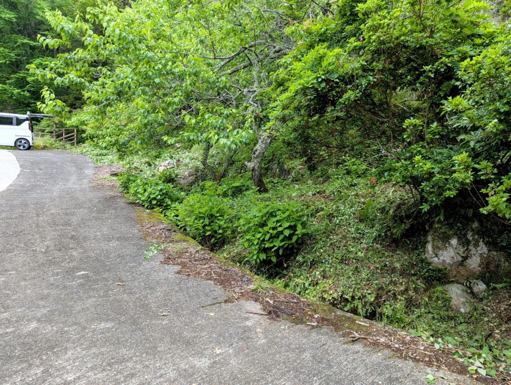 PXL_20250512_064546079.MP-EDIT-1024x771 昨日の草刈りの続き