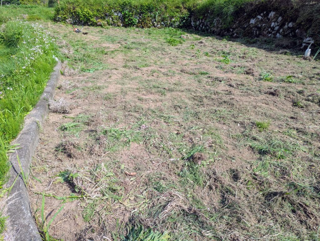 PXL_20250514_061046548.MP_-1024x771 今日も１日中、草刈