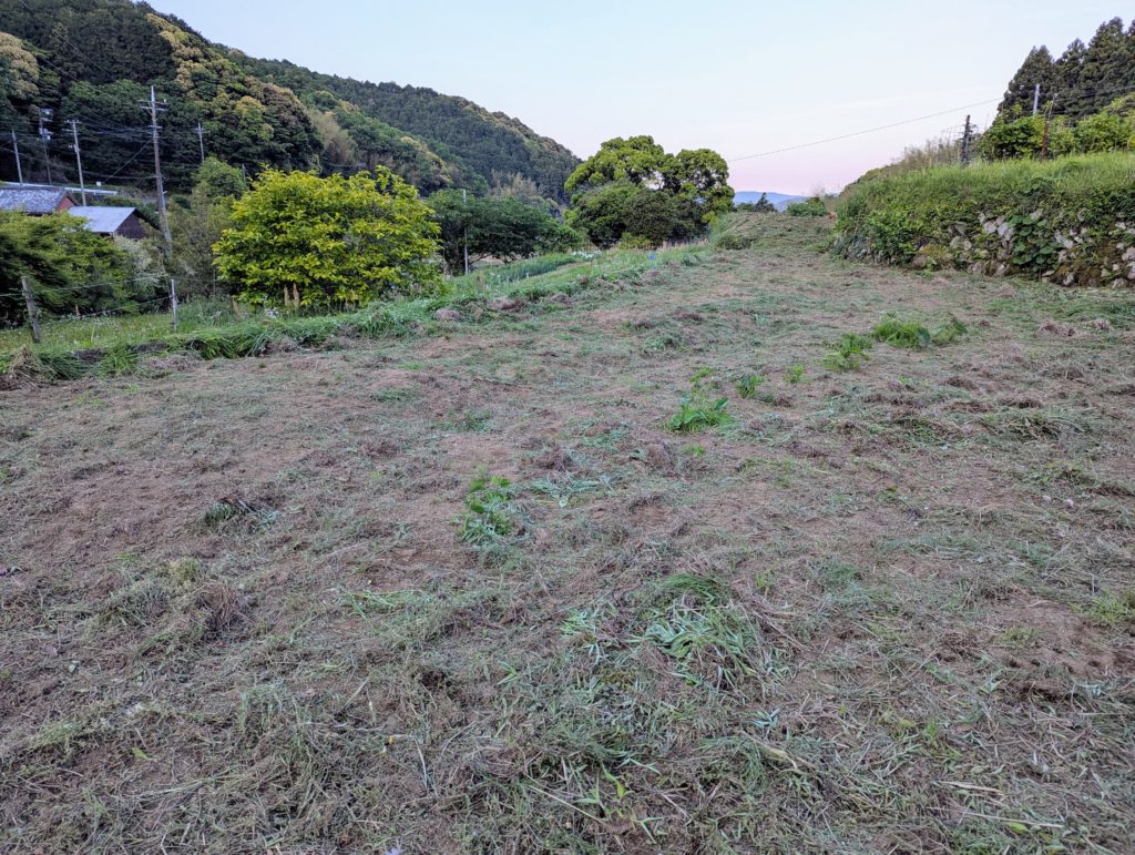 PXL_20250514_091203686.MP_-1024x771 今日も１日中、草刈