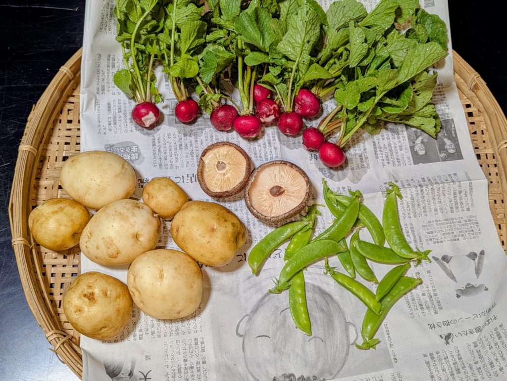 PXL_20250514_094816902-EDIT-1-1024x771 今日も１日中、草刈