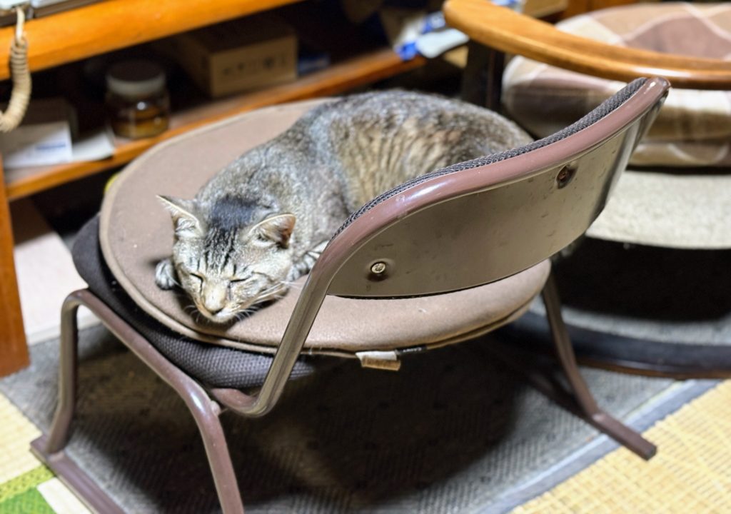 IMG_2992-1024x720 今日は朝から一日中、雨