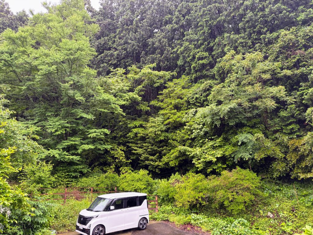 IMG_2996-1024x768 今日は朝から一日中、雨