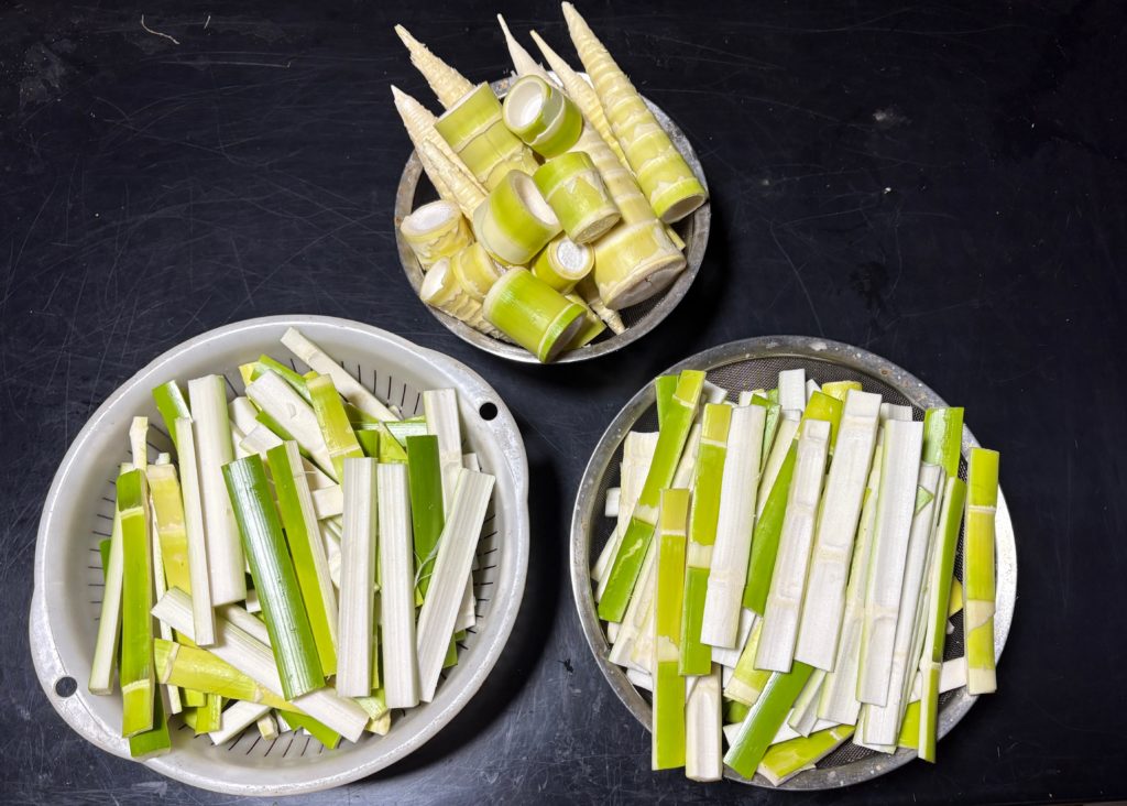 IMG_3065-1024x732 梅干し＆メンマ作りの季節です。