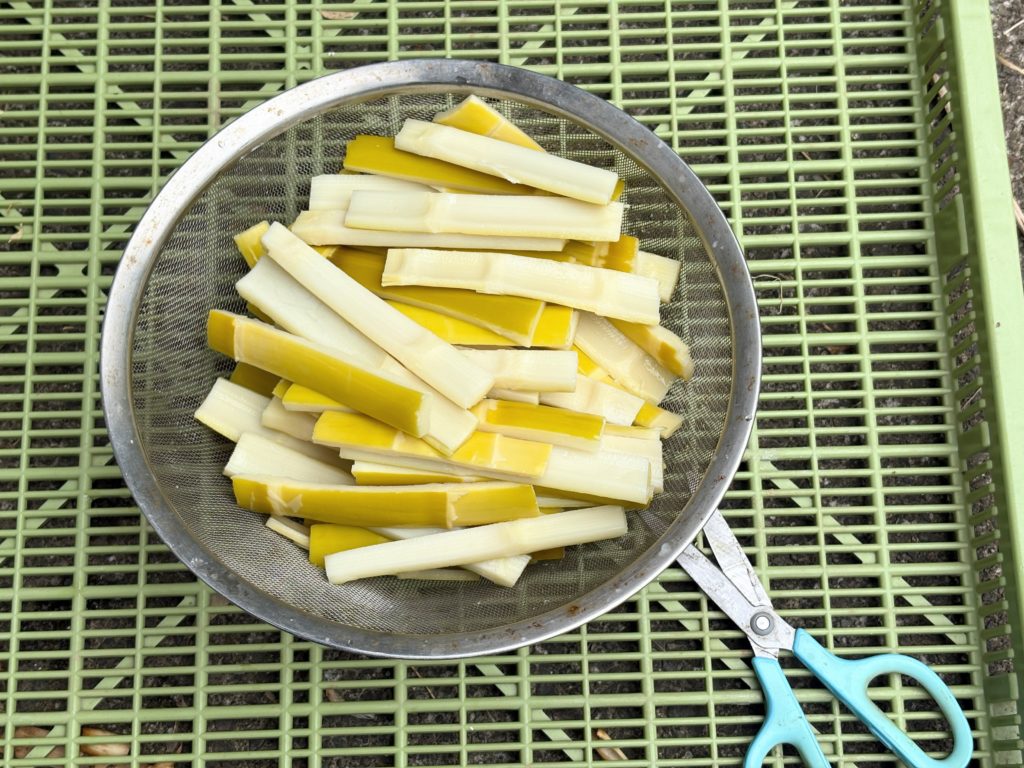 IMG_3087-1024x768 ジャガイモの収穫開始